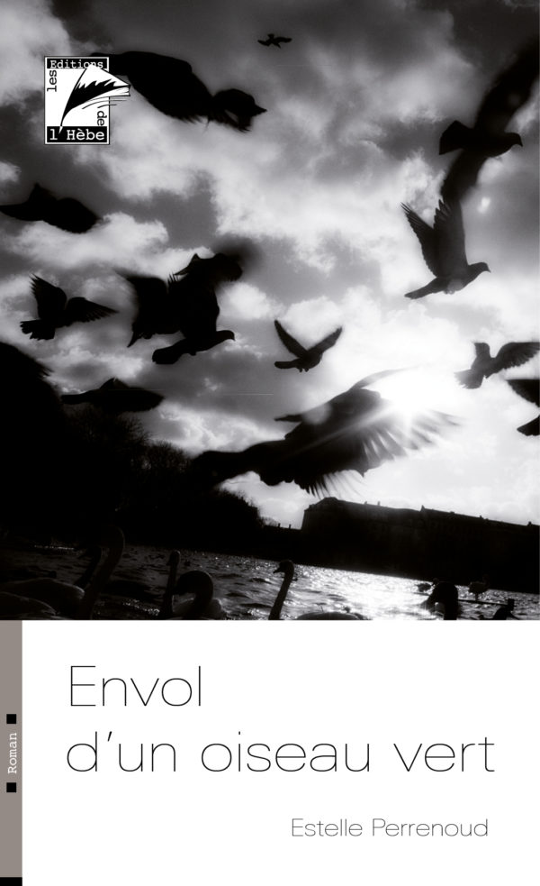 Envol d'un oiseau vert