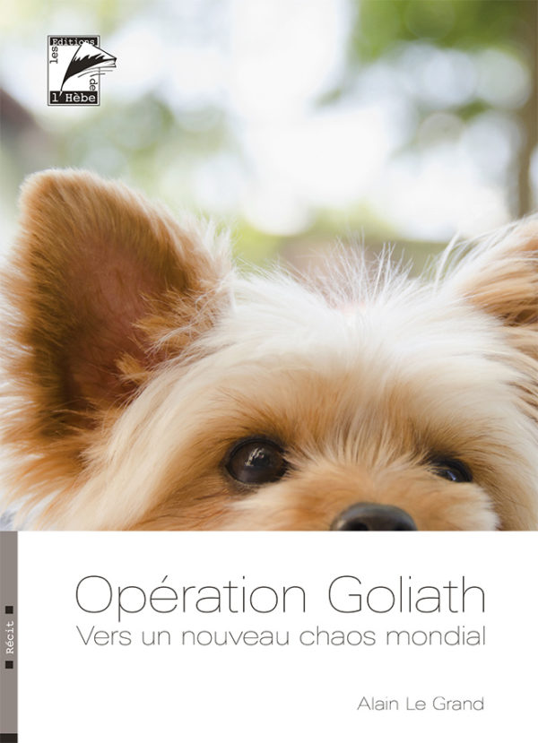 Opération Goliath